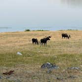 Review photo of Lakeview Campground by Marissa V., August 10, 2026