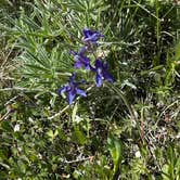 Review photo of Lakeview Campground by Tom , June 27, 2026