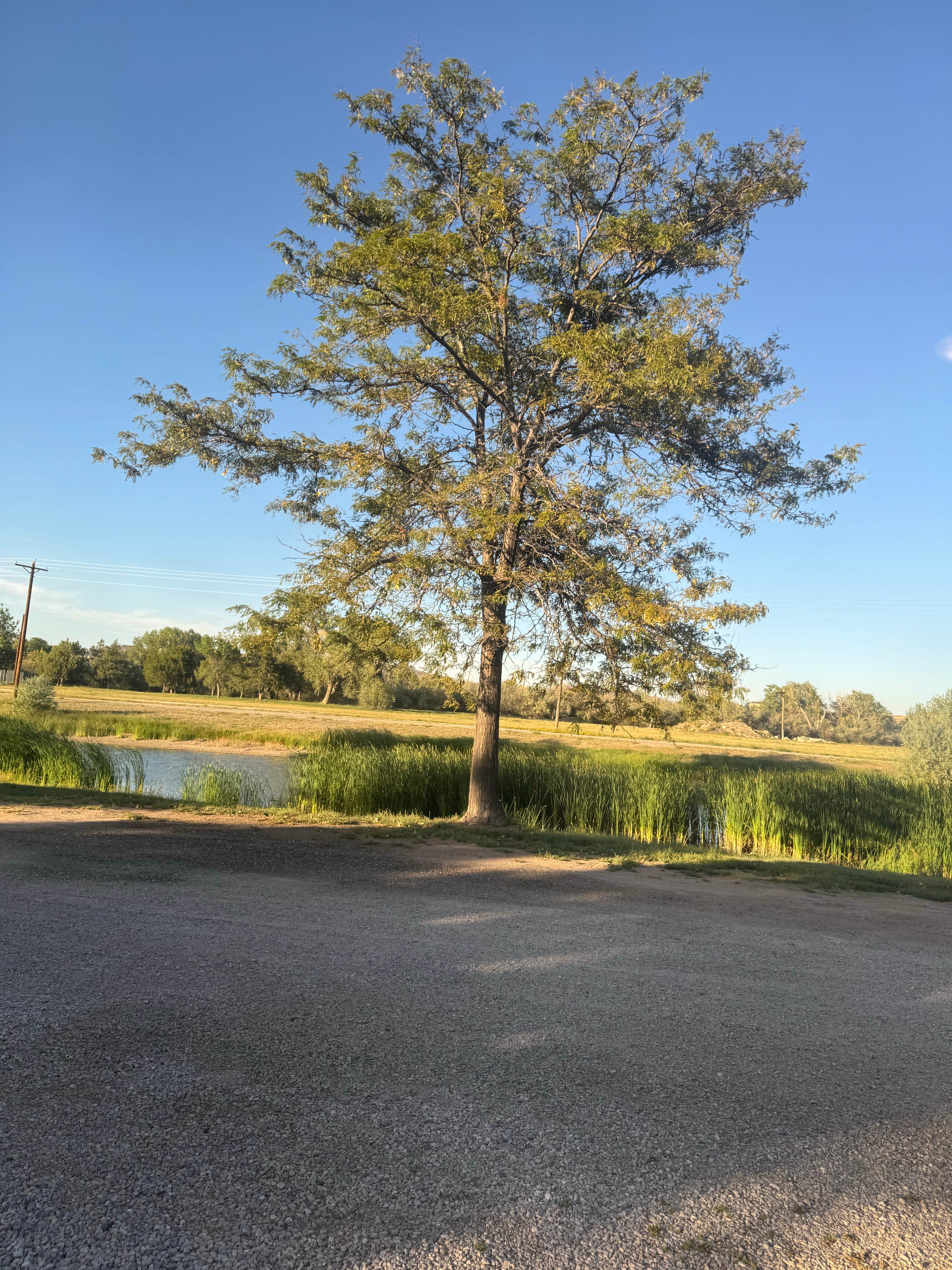 Camper-submitted photo at Larson Park Campground near Lingle, WY