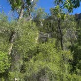 Review photo of Leigh Creek Campground by Deanna N., July 6, 2026
