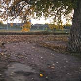Review photo of Lewis Park by johny R., October 29, 2025