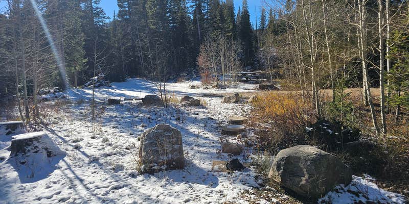 Camper submitted image from Libby Creek Willow Campground