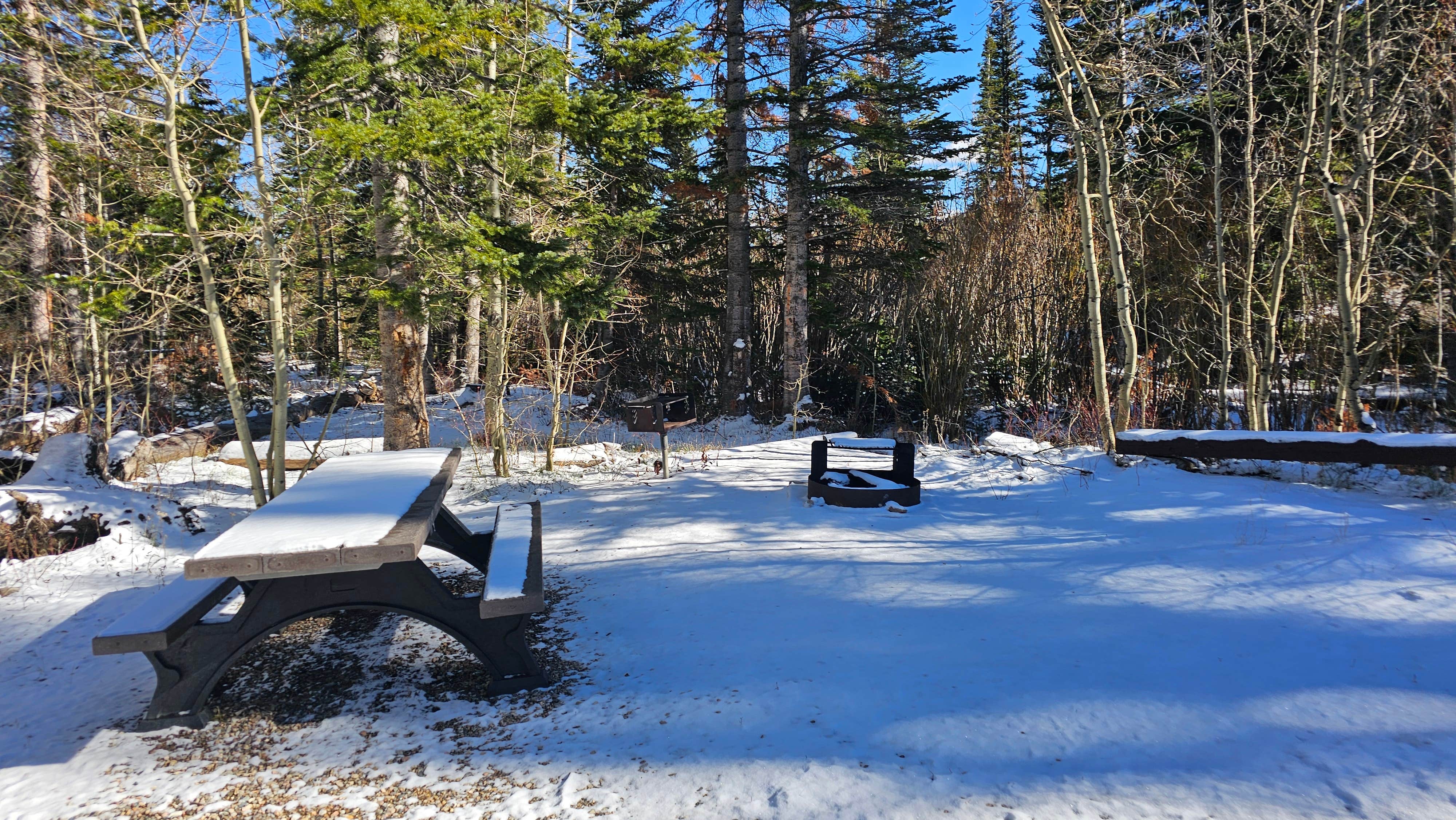 Camper-submitted photo at Libby Creek Willow Campground near Centennial, WY