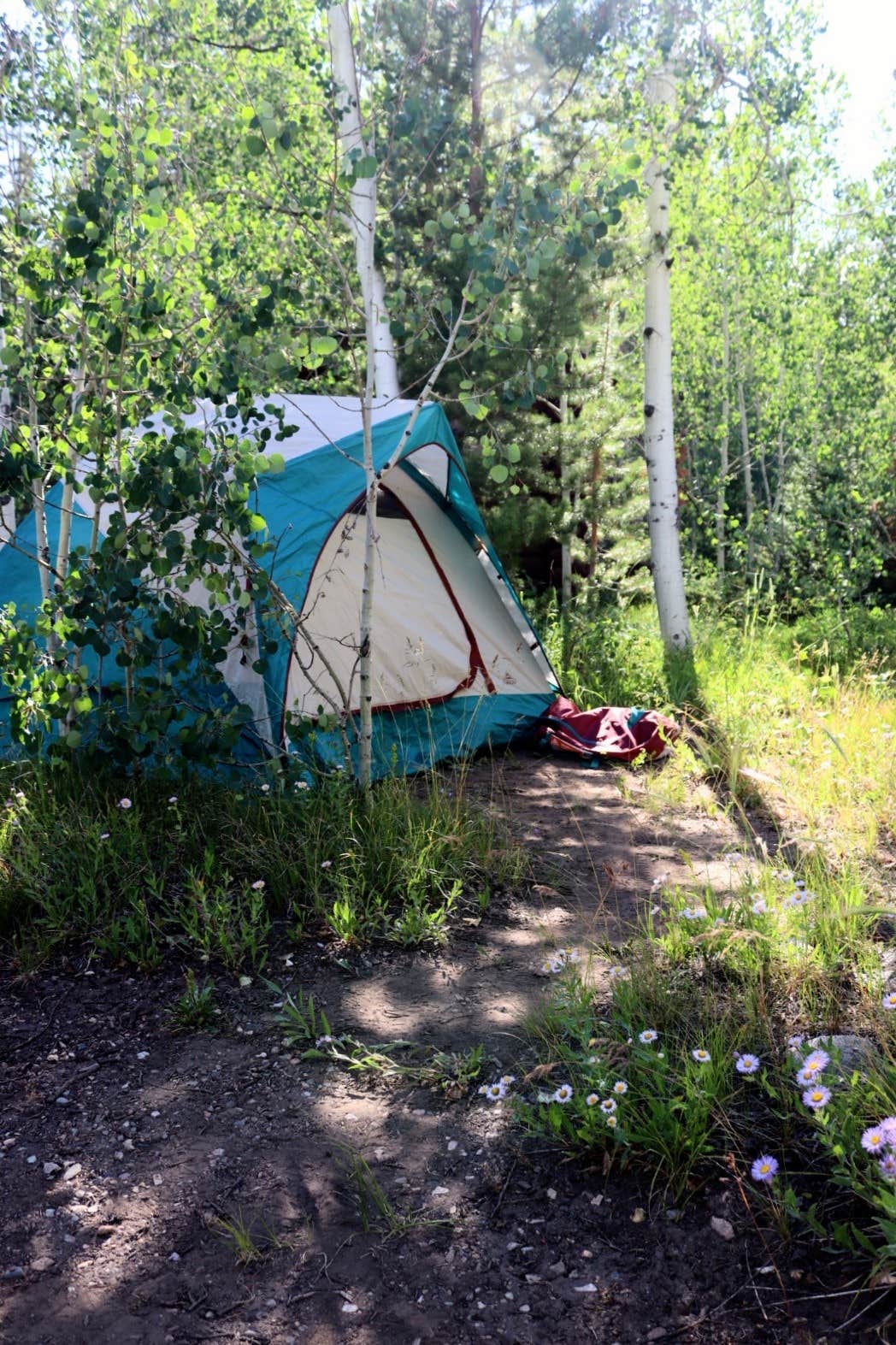 Camping near Spruce Mountain Fire Lookout Tower: Libby Creek Willow Campground, Centennial, Wyoming