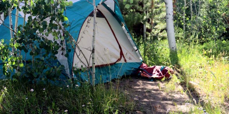 Camper submitted image from Libby Creek Willow Campground