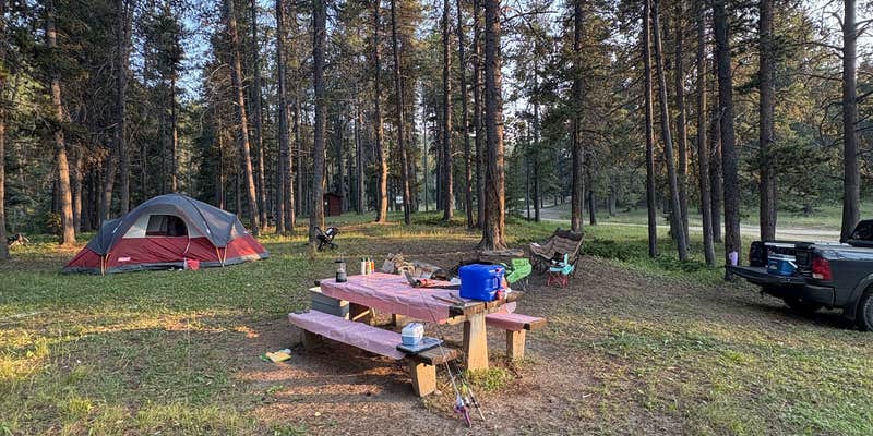 Camper submitted image from Little Goose Campground