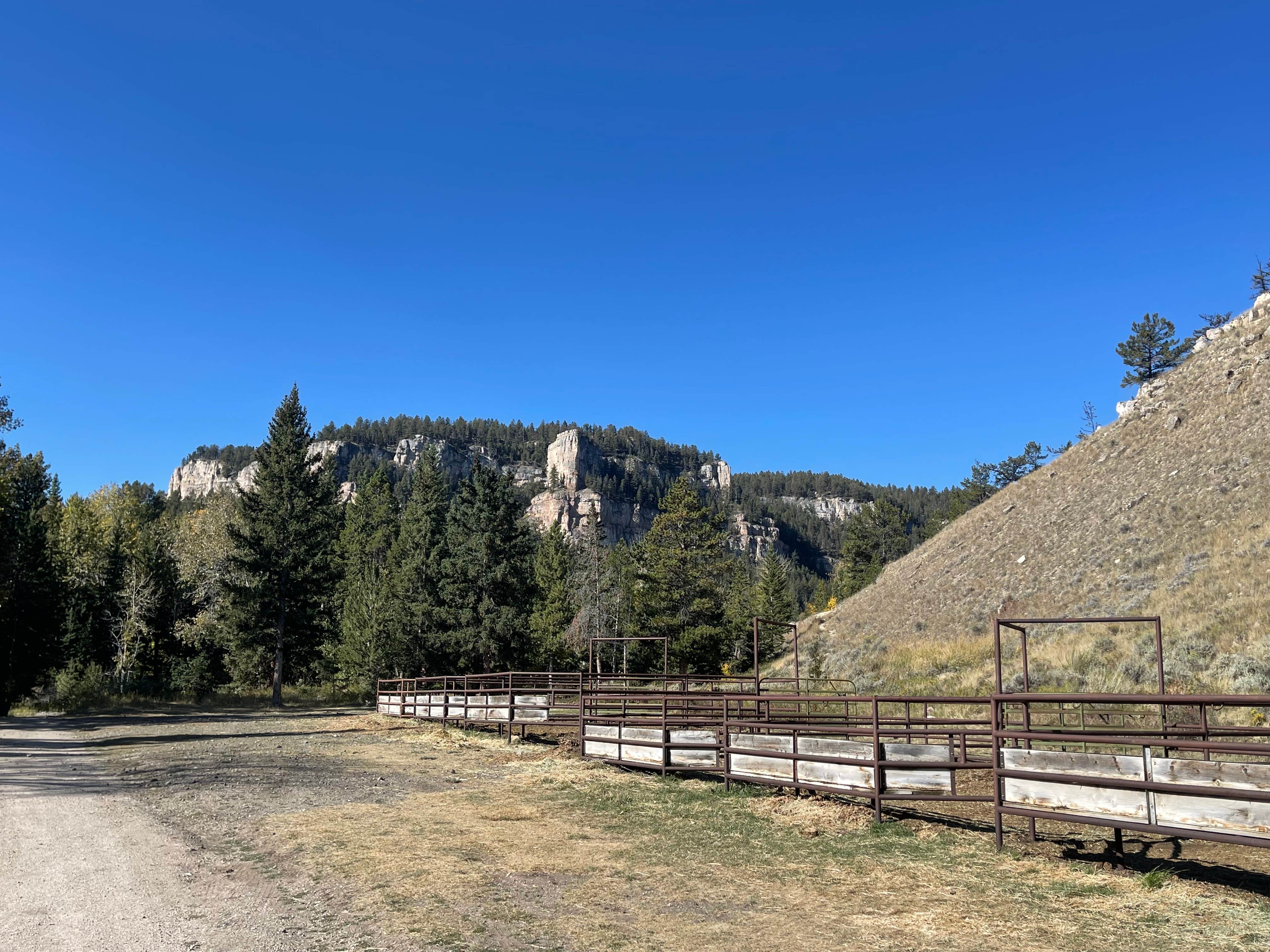 Camper-submitted photo at Little Sunlight Camping Area near Cody, WY