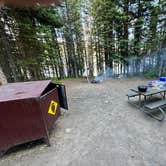 Review photo of Lizard Creek Campground — Grand Teton National Park by Tyler S., January 8, 2025