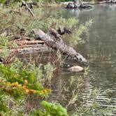 Review photo of Lizard Creek Campground — Grand Teton National Park by Tyler S., January 8, 2025