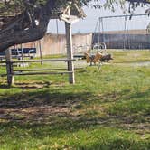 Review photo of Lost Springs City Park by johny R., October 29, 2025