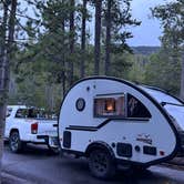Review photo of Madison Campground — Yellowstone National Park by Susan B., July 15, 2026