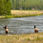 Review photo of Madison Campground — Yellowstone National Park by Jennifer O., August 15, 2025
