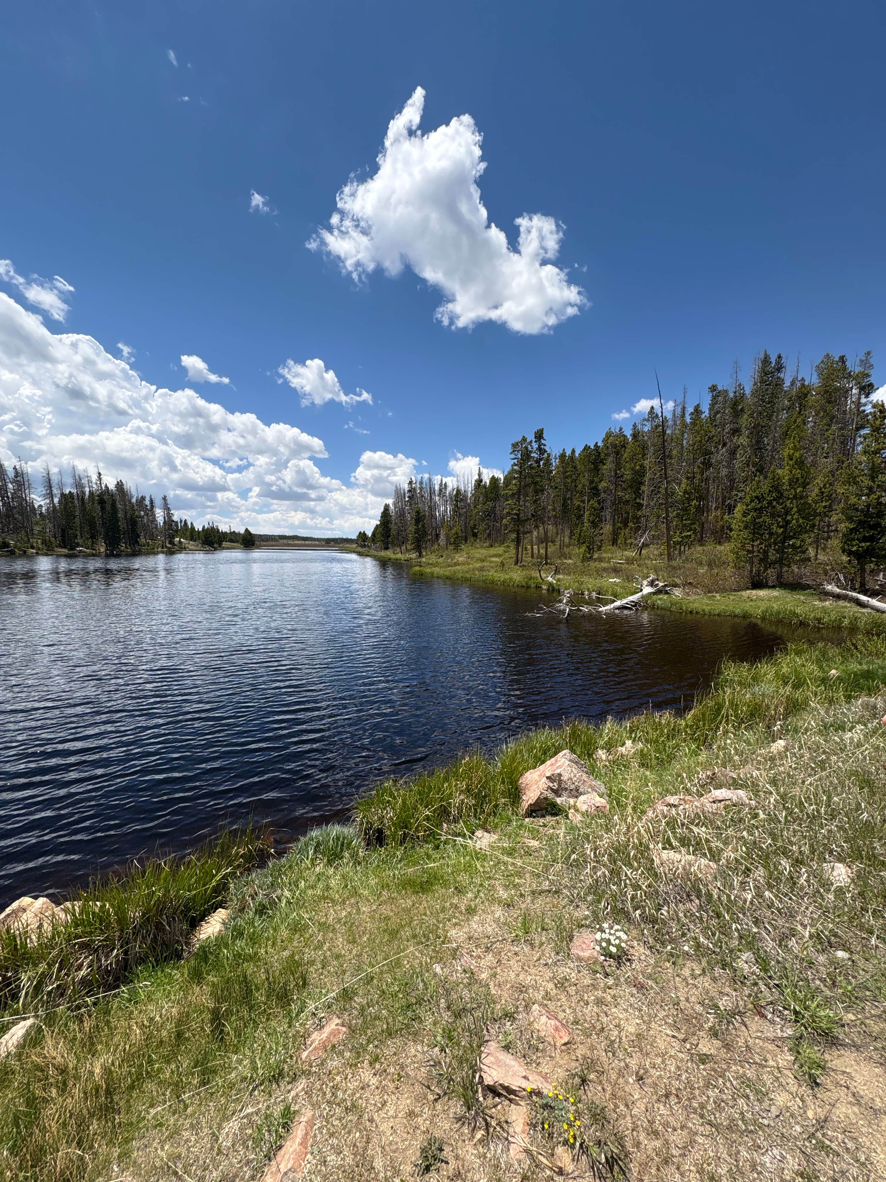 Camper-submitted photo at Miller Lake dispersed near Jelm, WY