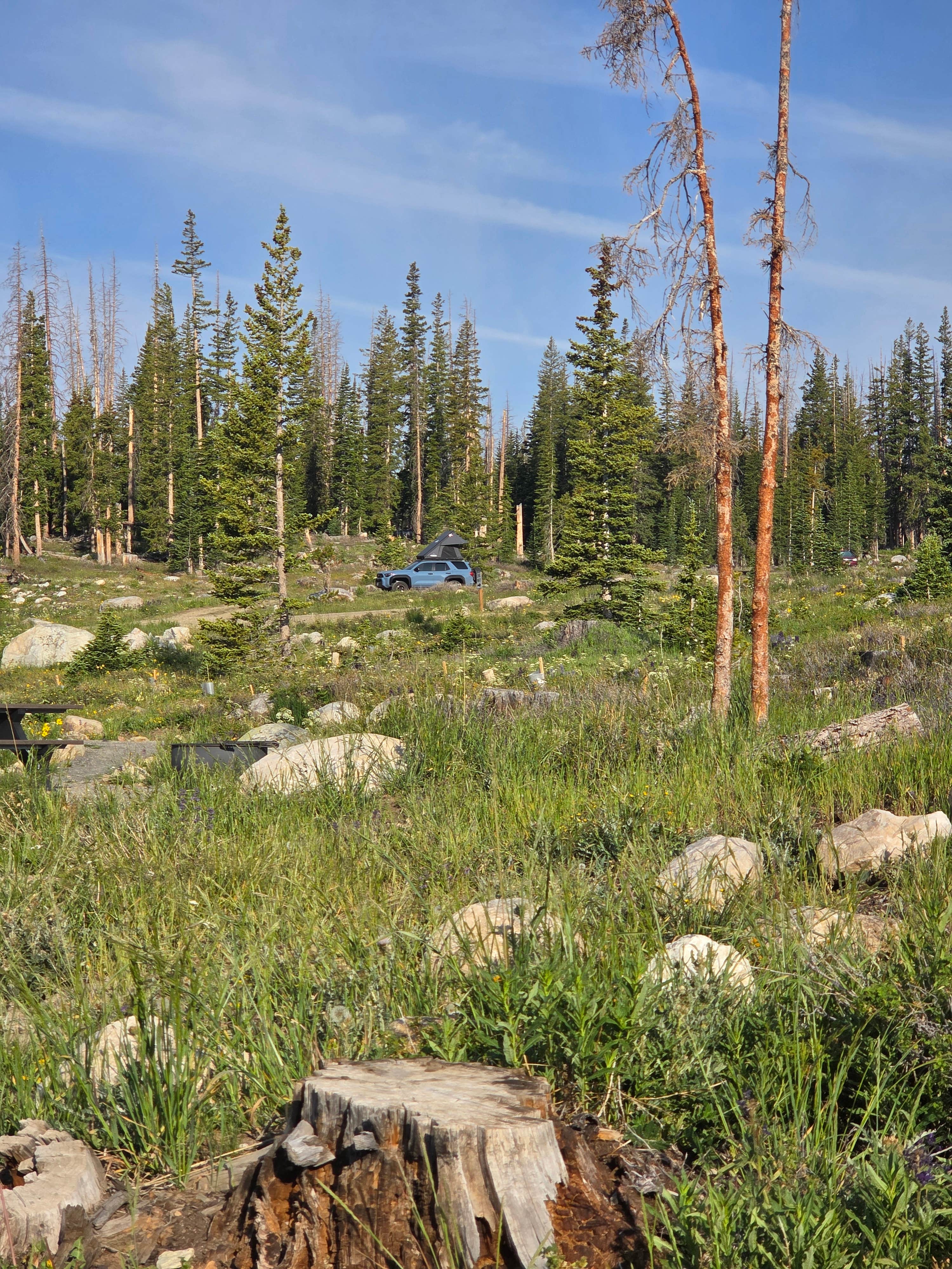 Camper-submitted photo at Nash Fork Campground near Medicine Bow-Routt NFs & Thunder Basin NG