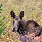 Review photo of North Tongue by Cindy B., March 14, 2026