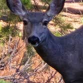 Review photo of North Tongue by Cindy B., March 14, 2026