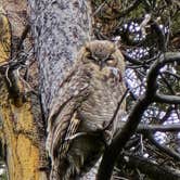 Review photo of North Tongue by Cindy B., March 14, 2026