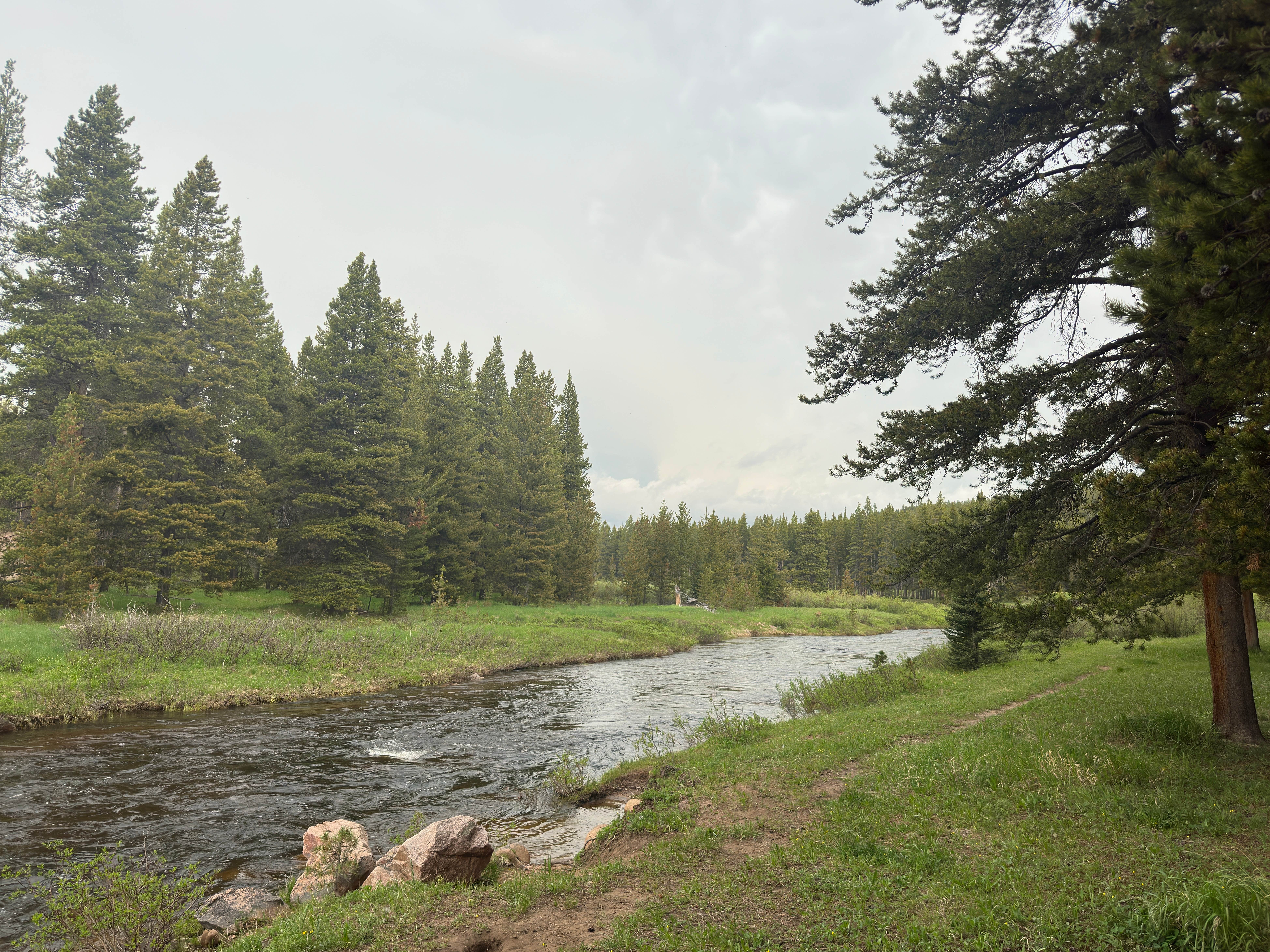 Camper-submitted photo at Prune Creek near Dayton, WY