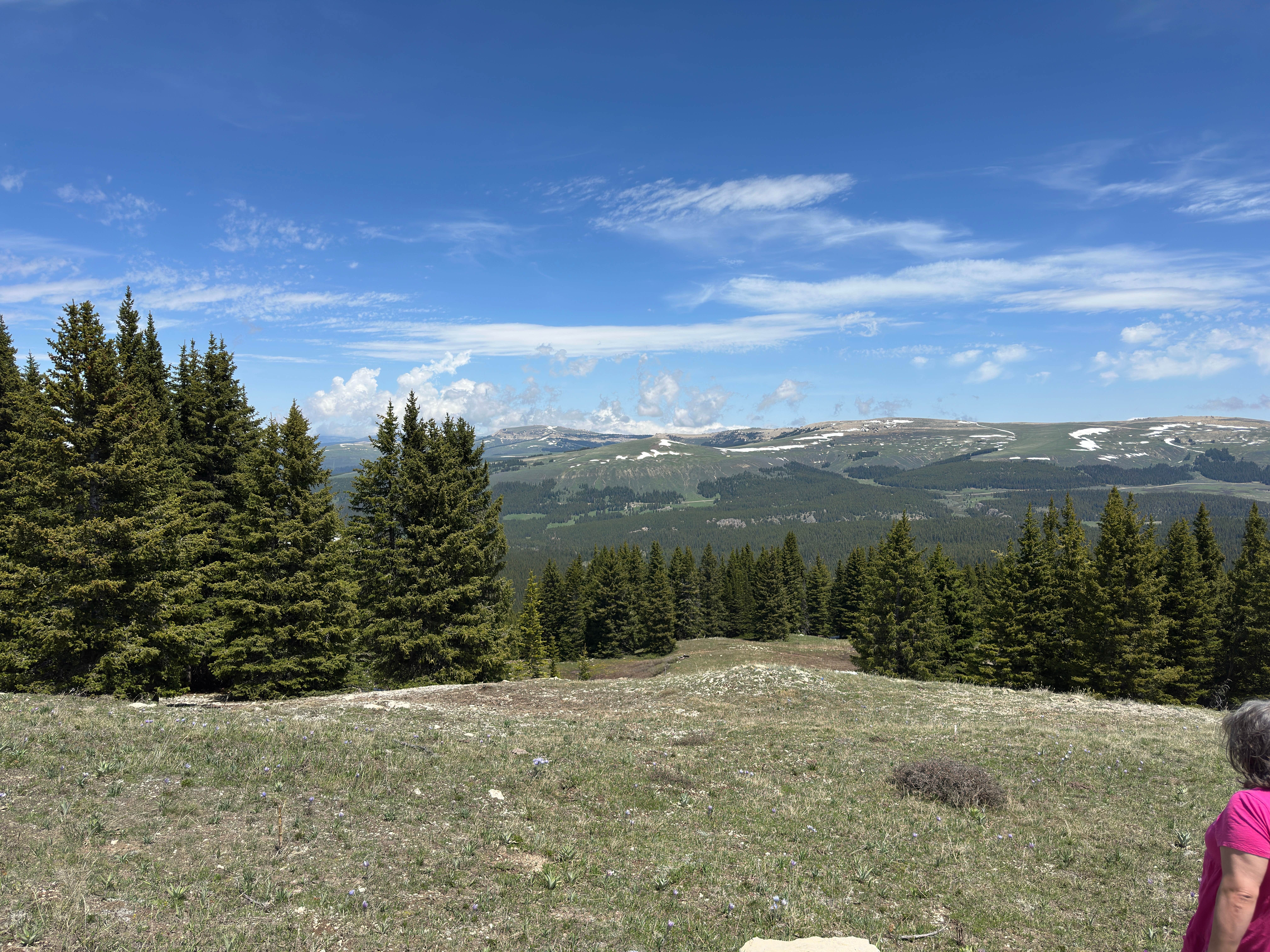 Camper-submitted photo at Prune Creek near Dayton, WY