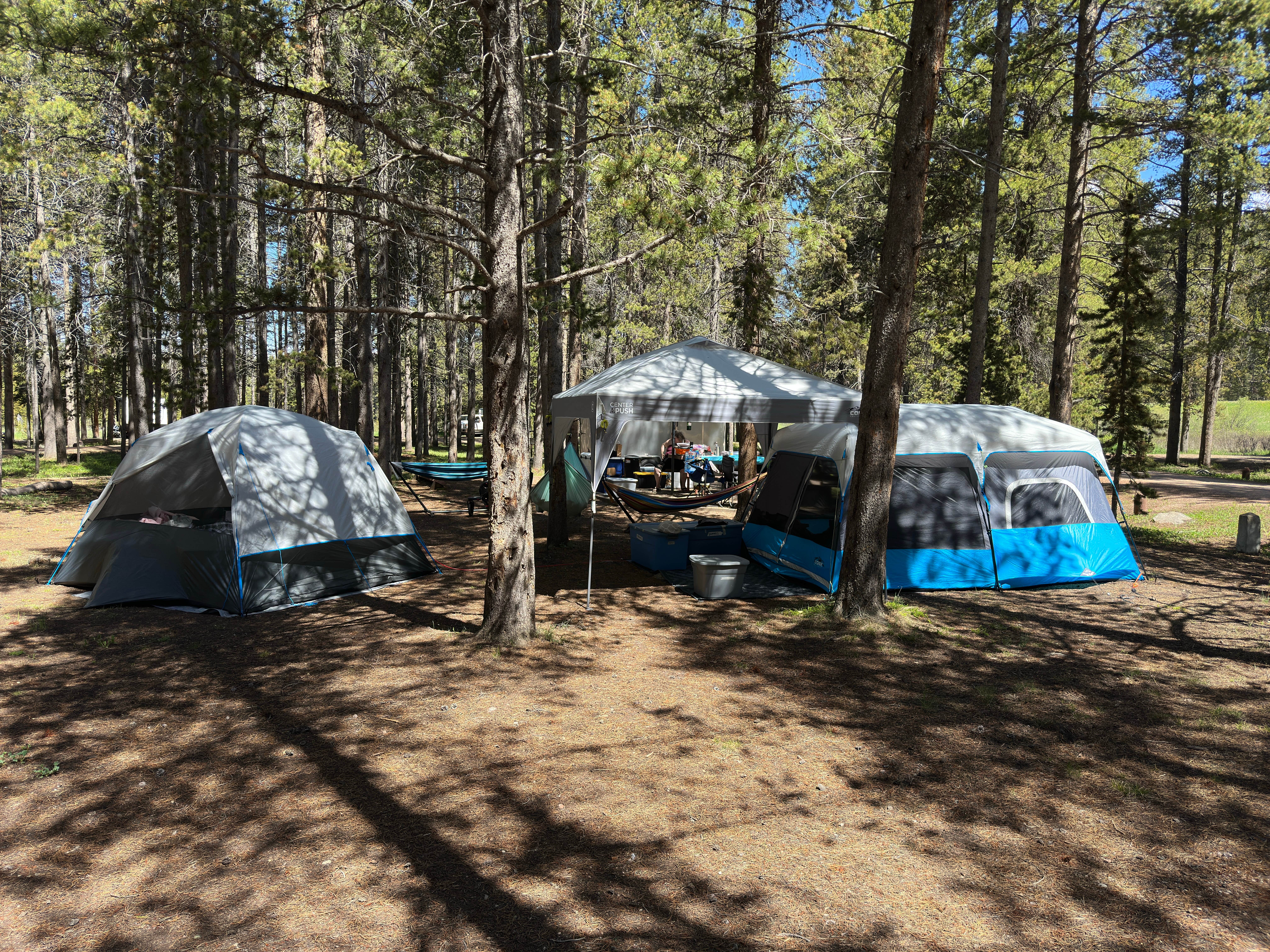 Camper-submitted photo at Prune Creek near Dayton, WY