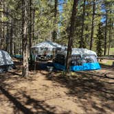 Review photo of Prune Creek by Bradley & Carin J., June 17, 2025
