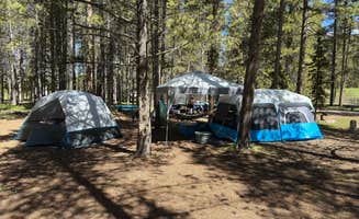 Bradley & Carin J.'s photo at Prune Creek near Wolf, WY
