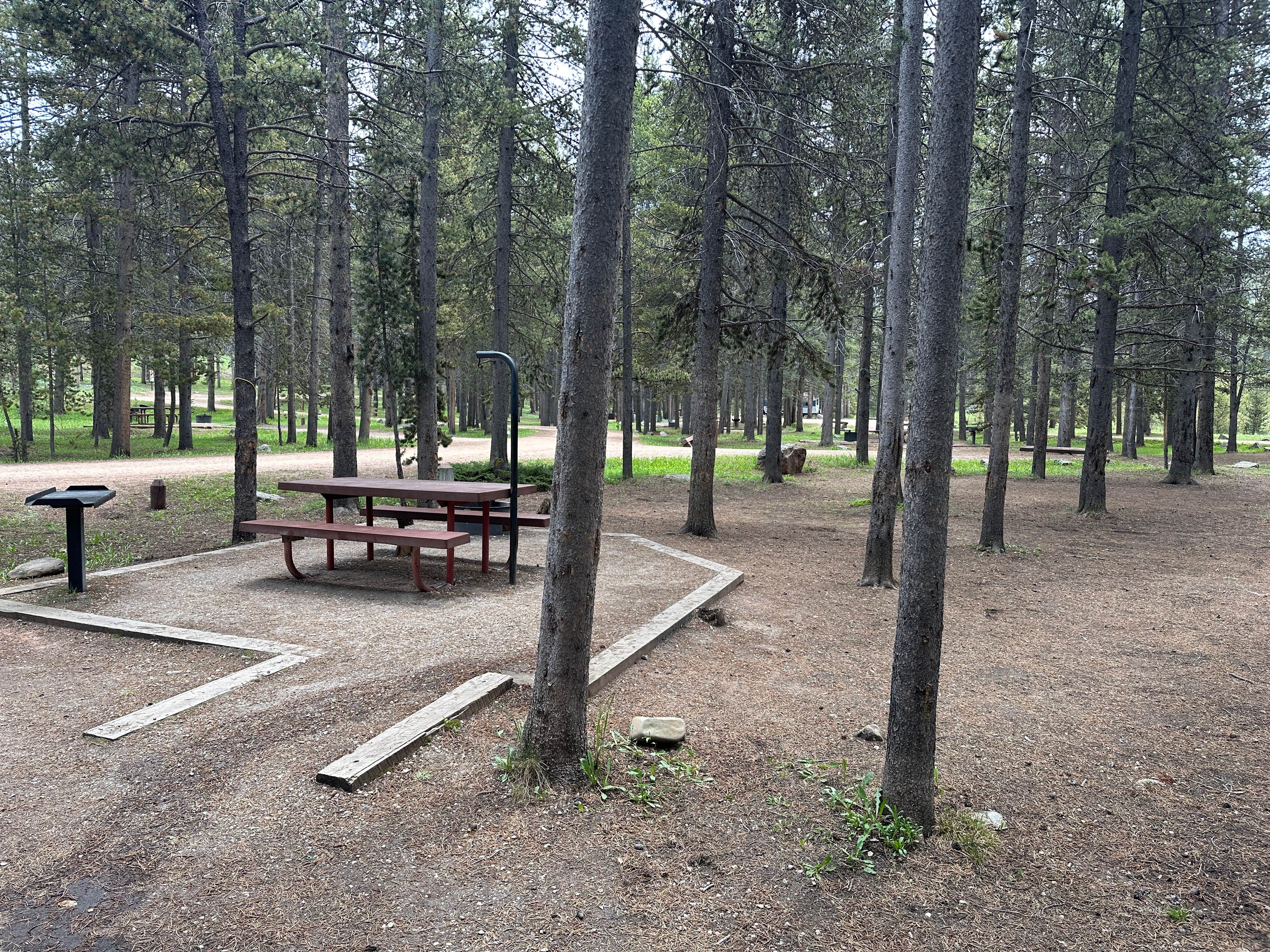 Camper-submitted photo at Prune Creek near Dayton, WY