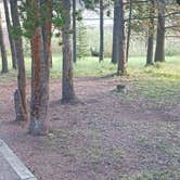 Review photo of Prune Creek by Michael G., August 24, 2026