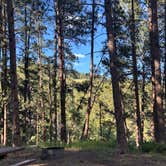 Review photo of Reuter Campground by Alyisha C., June 17, 2026