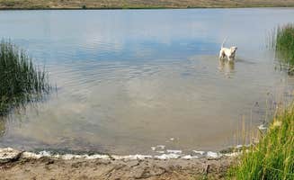 Kasy A.'s photo of camping with pets at Saratoga Lake Campground near Elk Mountain, WY