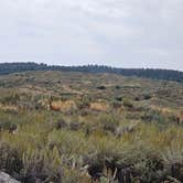 Review photo of Shell Creek by Jennifer K., August 16, 2025