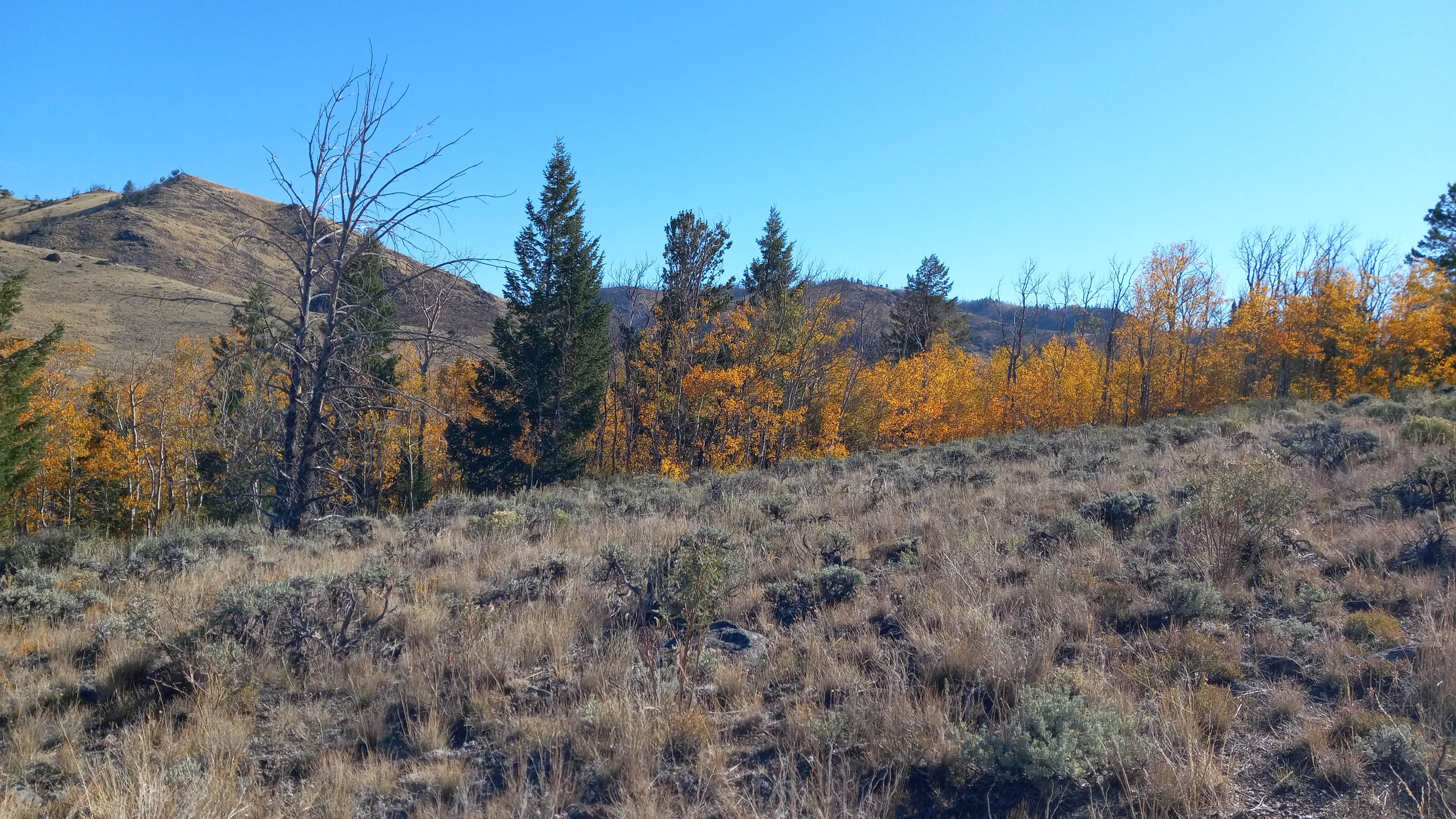 Camper-submitted photo at Six Mile Campground near Medicine Bow-Routt National Forests and Thunder Basin National Grassland