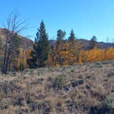 Review photo of Six Mile Campground by Greg P., November 20, 2024