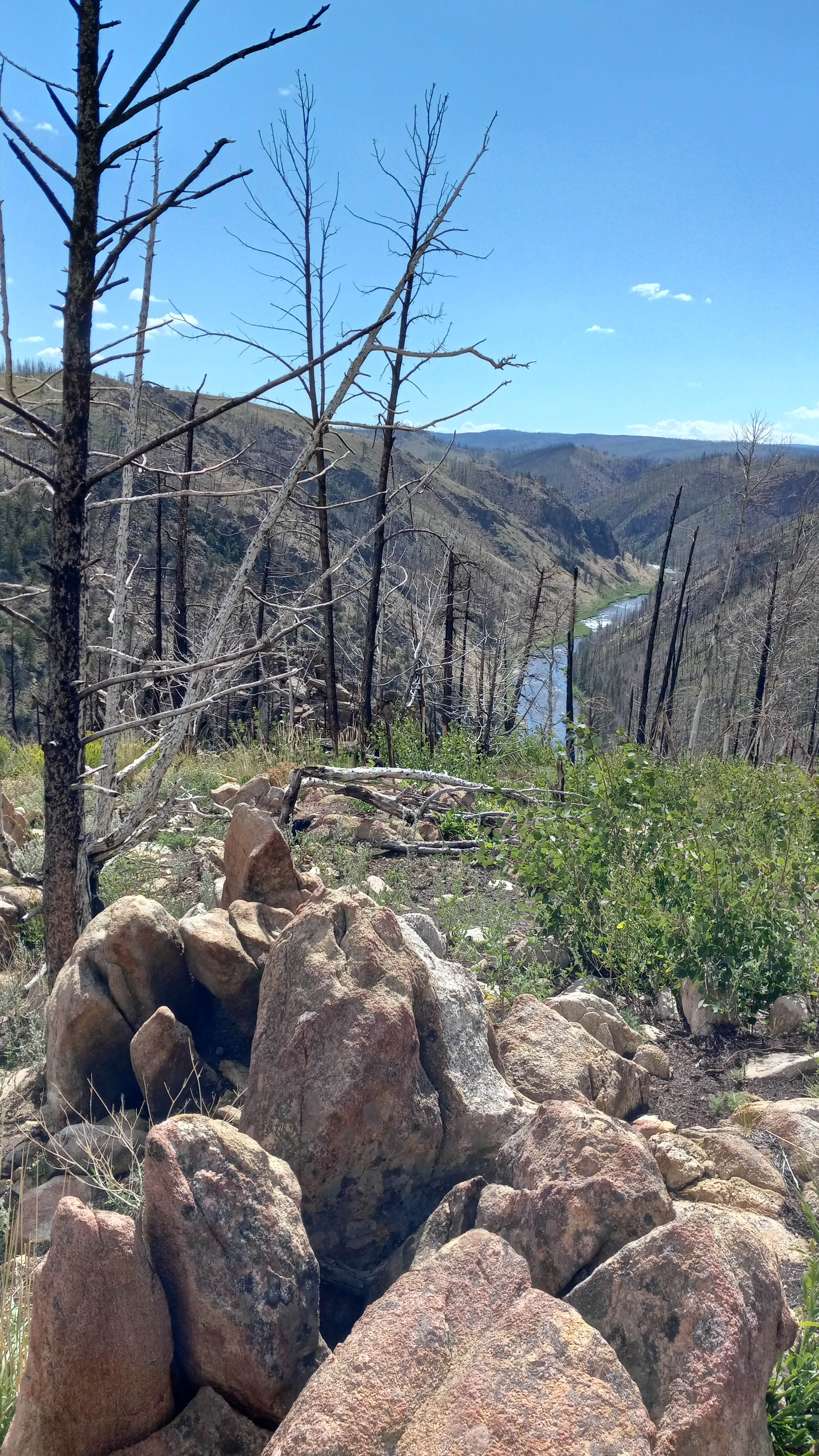 Camper-submitted photo at Six Mile Campground near Medicine Bow-Routt National Forests and Thunder Basin National Grassland