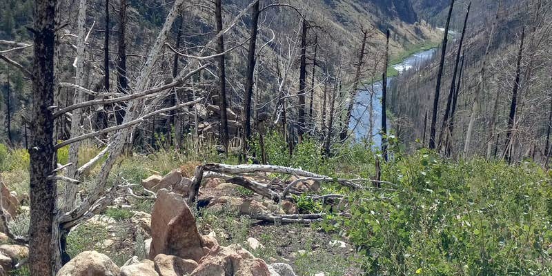 Camper submitted image from Six Mile Campground