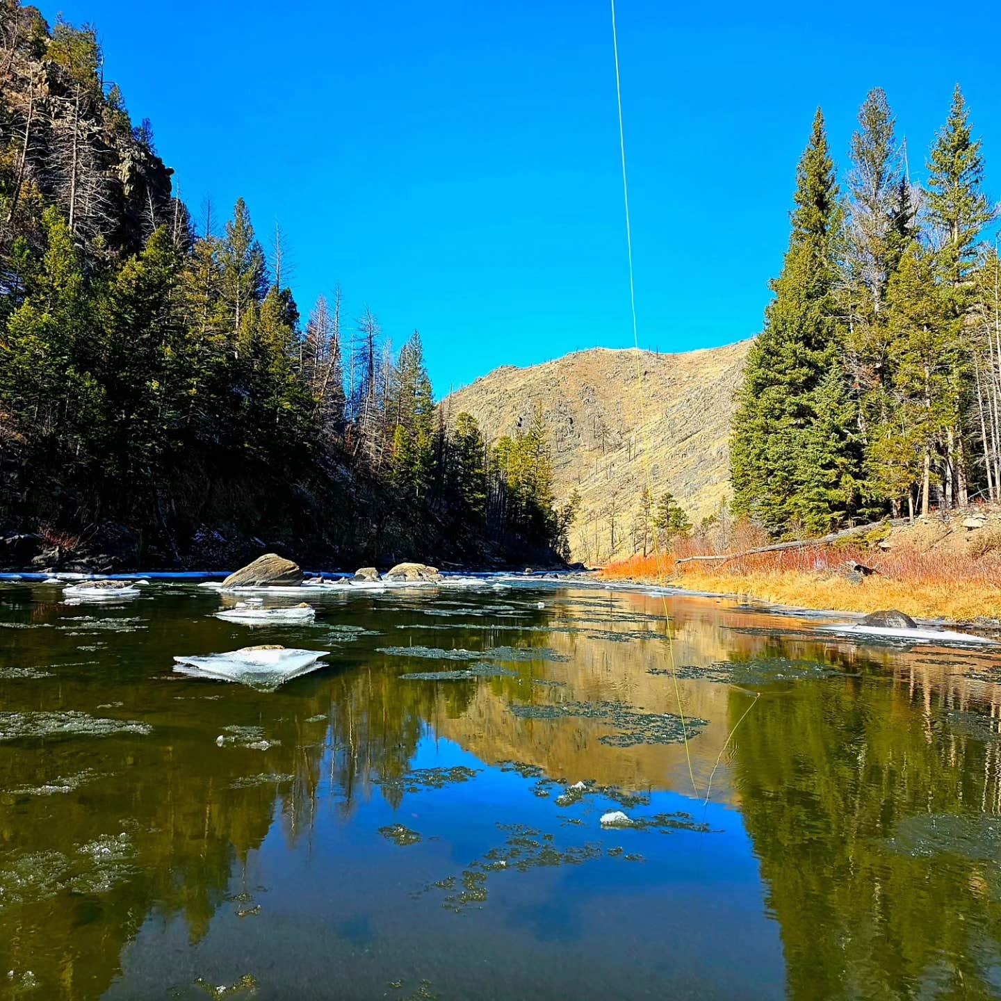 Camper-submitted photo at Six Mile Campground near Medicine Bow-Routt National Forests and Thunder Basin National Grassland