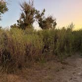 Review photo of Slate Creek Campground by Jess P., July 12, 2026