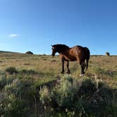 Review photo of Soda Lake WHMA by Dallas D., June 15, 2026