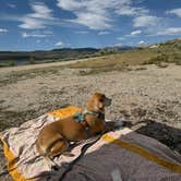 Review photo of Soda Lake WHMA by Katie E., June 21, 2026