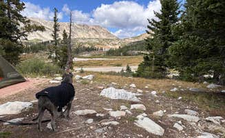 Maya G.'s photo of camping with pets at Sugarloaf Campground near Elk Mountain, WY