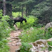 Review photo of Teton Canyon by Greg N., September 27, 2024