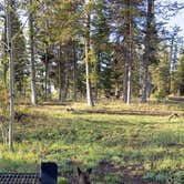 Review photo of Tie City Campground (Wy) — Medicine Bow Routt N Fs & Thunder Basin Ng by Carrie B., June 11, 2024