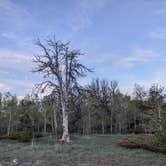 Review photo of Tie City Campground (Wy) — Medicine Bow Routt N Fs & Thunder Basin Ng by DL M., June 2, 2024