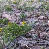 Review photo of Tie City Campground (Wy) — Medicine Bow Routt N Fs & Thunder Basin Ng by DL M., June 2, 2024