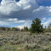 Review photo of Tie City Campground (Wy) — Medicine Bow Routt N Fs & Thunder Basin Ng by Carrie B., June 11, 2024