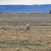 Review photo of Twin Buttes Reservoir by johny R., October 27, 2025