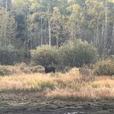 Review photo of Vedauwoo Campground by Russell R., October 12, 2024