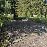 Review photo of Wolf Creek Campground by Patti T., July 5, 2025