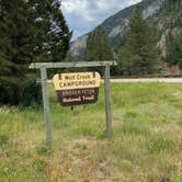 Review photo of Wolf Creek Campground by Patti T., July 5, 2025