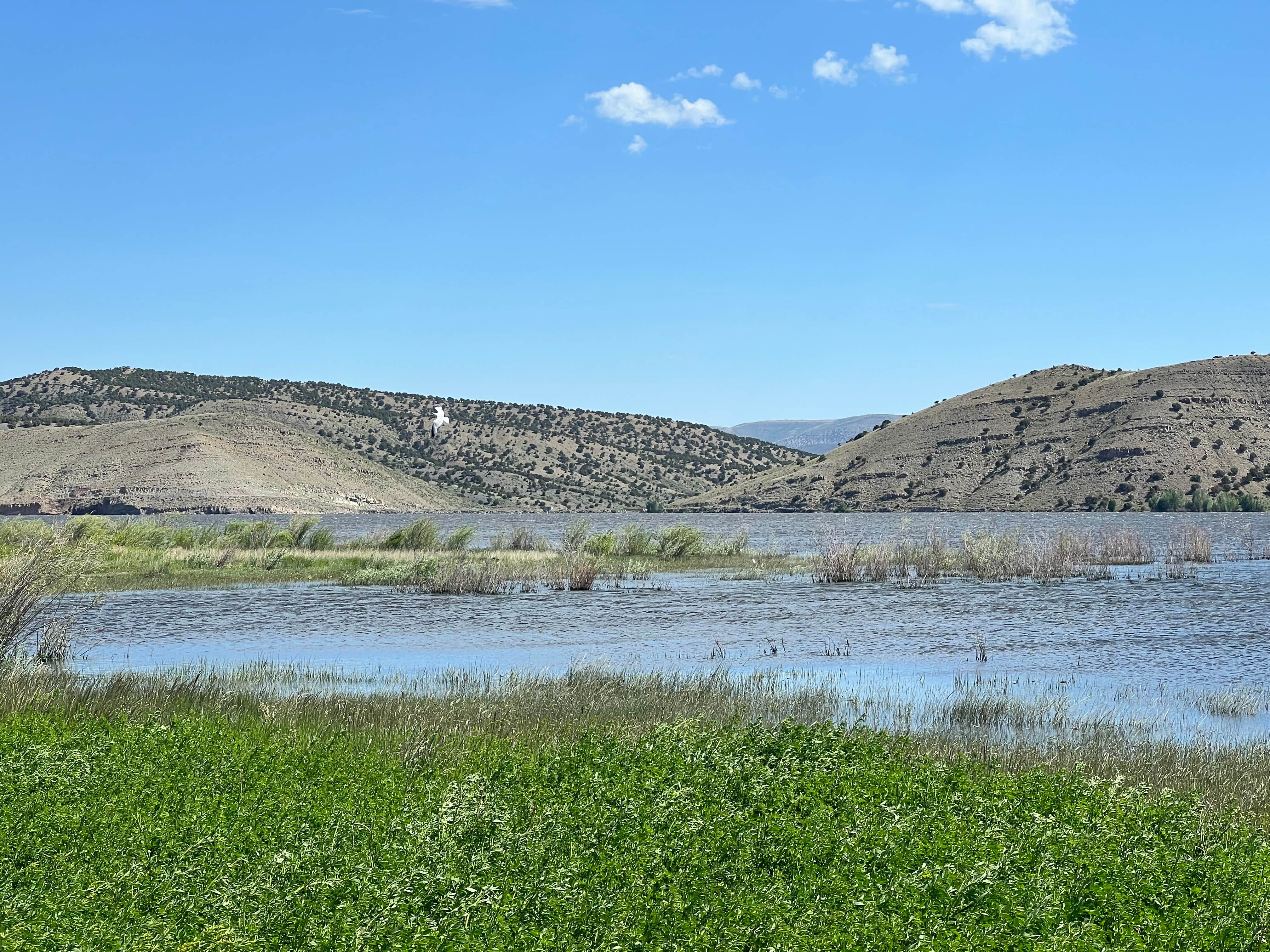 Camper-submitted photo at Woodruff Narrows Public Access Area near Evanston, WY